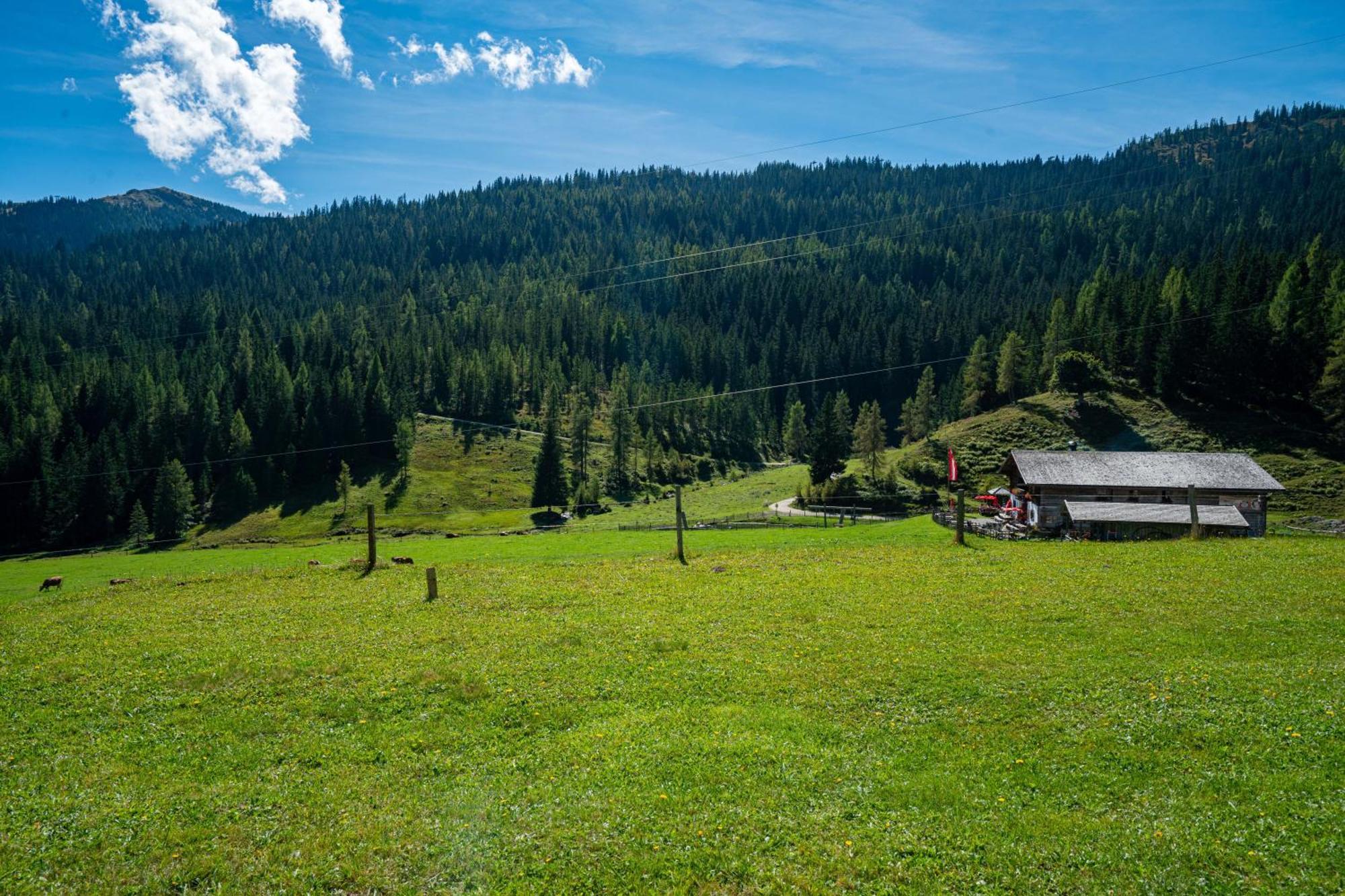 Готель Mittereggalm Мюльбах-ам-Гохкеніг Екстер'єр фото
