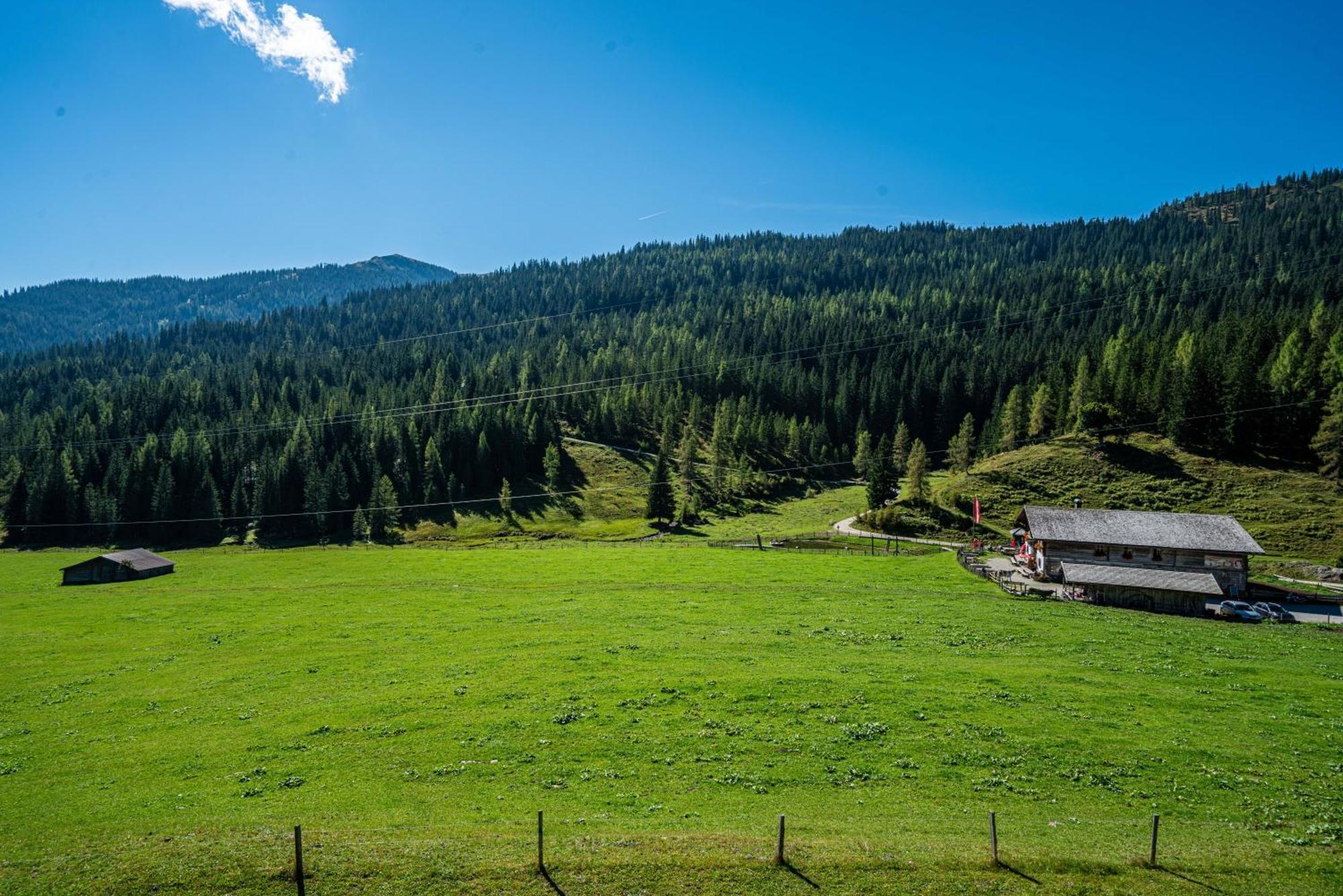 Готель Mittereggalm Мюльбах-ам-Гохкеніг Екстер'єр фото